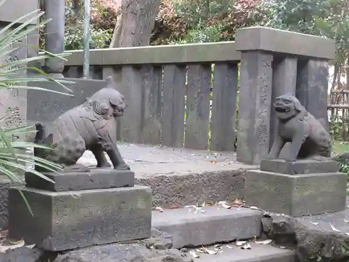 吾嬬神社の狛犬