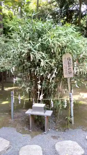 常陸第三宮　吉田神社の自然