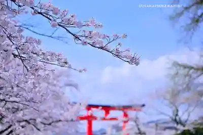富士山本宮浅間大社(静岡県)