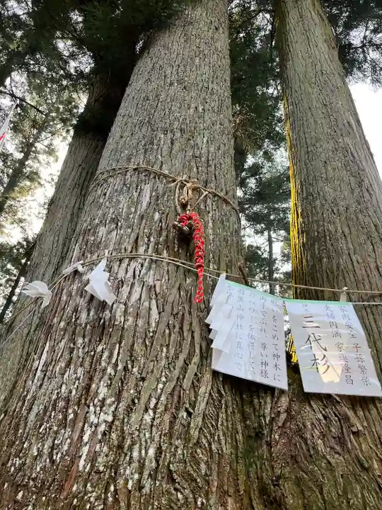 羽黒山神社の自然