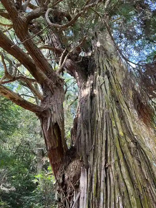 出雲神社(山口県)