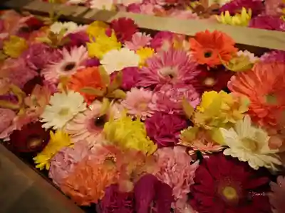 東京大神宮(東京都)