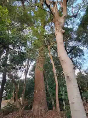 稲荷神社(愛媛県)