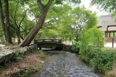 賀茂別雷神社（上賀茂神社）(京都府)