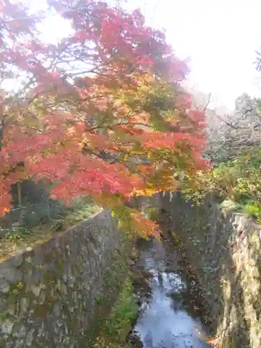 理智光寺跡（理智光寺址）＜史跡＞の自然