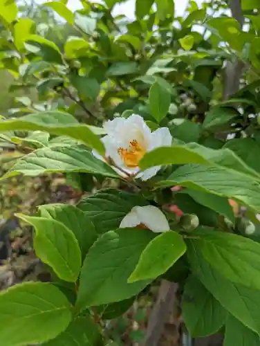 六孫王神社の自然