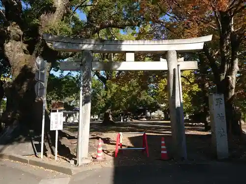 軍神社の鳥居