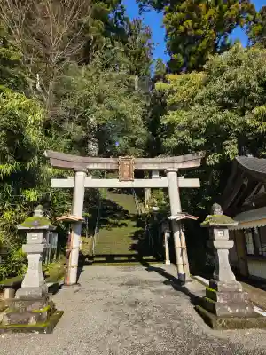 埴生護國八幡宮の{uncategorized: "未分類", other: "その他", undefined: "問題あり", building: "その他建物", grave: "お墓", sacred_gate: "鳥居", guardian: "狛犬", statue: "像", buddha: "仏像", history: "歴史", nature: "自然", garden: "庭園", animal: "動物", pagoda: "塔", temizu: "手水舎", mountain_gate: "山門・神門", sanctuary: "本殿・本堂", subordinate: "末社・摂社", art: "芸術", scenery: "景色", jizo: "地蔵", ema: "絵馬", goshuin: "御朱印", omikuji: "おみくじ", items: "授与品その他", amulet: "お守り", goshuincho: "御朱印帳", eats: "食事", festival: "お祭り", votive_dance: "神楽", shichigosan: "七五三参", wedding: "結婚式", experience: "体験その他", initially: "初詣", around: "周辺", anti_infection: "感染症対策"}