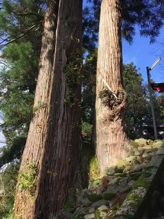巣守神社の自然