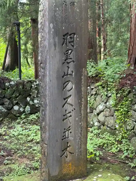 羽黒山五重塔(出羽三山神社)(山形県)