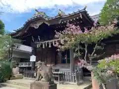 白山神社(東京都)