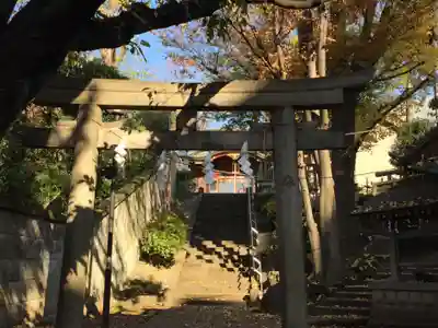 田端八幡神社の鳥居