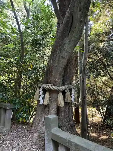 前玉神社の自然