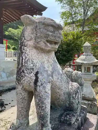 厄除八幡宮　の狛犬