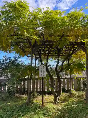 八雲神社(緑町)(栃木県)