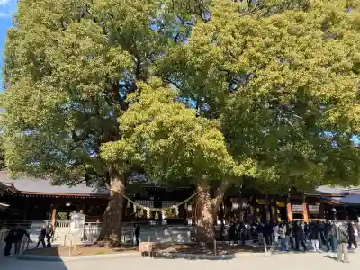 明治神宮の{uncategorized: "未分類", other: "その他", undefined: "問題あり", building: "その他建物", grave: "お墓", sacred_gate: "鳥居", guardian: "狛犬", statue: "像", buddha: "仏像", history: "歴史", nature: "自然", garden: "庭園", animal: "動物", pagoda: "塔", temizu: "手水舎", mountain_gate: "山門・神門", sanctuary: "本殿・本堂", subordinate: "末社・摂社", art: "芸術", scenery: "景色", jizo: "地蔵", ema: "絵馬", goshuin: "御朱印", omikuji: "おみくじ", items: "授与品その他", amulet: "お守り", goshuincho: "御朱印帳", eats: "食事", festival: "お祭り", votive_dance: "神楽", shichigosan: "七五三参", wedding: "結婚式", experience: "体験その他", initially: "初詣", around: "周辺", anti_infection: "感染症対策"}