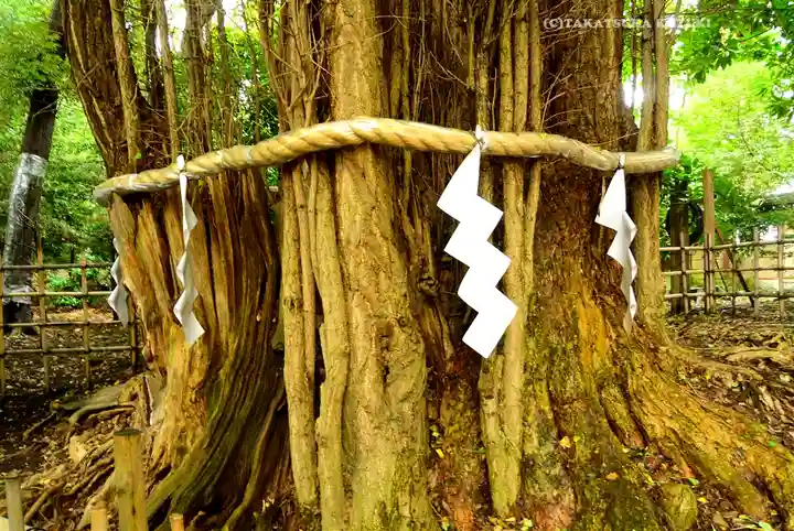 大國魂神社(東京都)