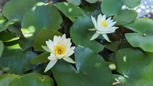 長興院(京都府)