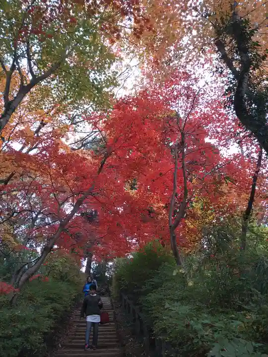 能仁寺(埼玉県)