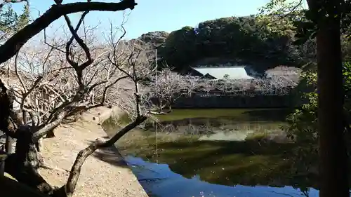 安房神社の庭園