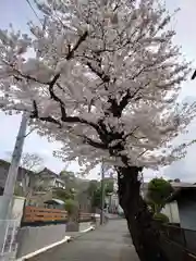 座間神社(神奈川県)