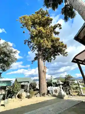 八咫神社(滋賀県)