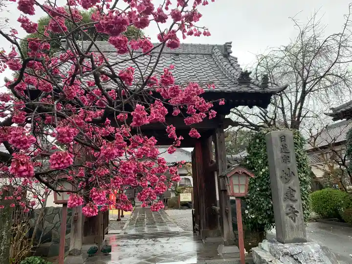 妙建寺の山門・神門