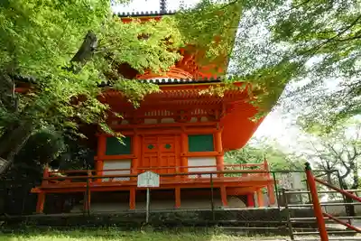 金剛宝寺（紀三井寺）の塔