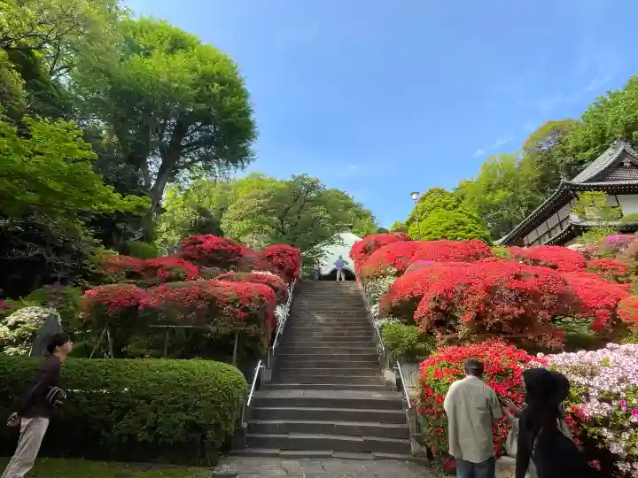 等覚院(神奈川県)