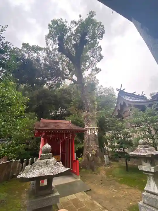 綿都美神社の自然