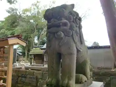 酒列磯前神社の狛犬