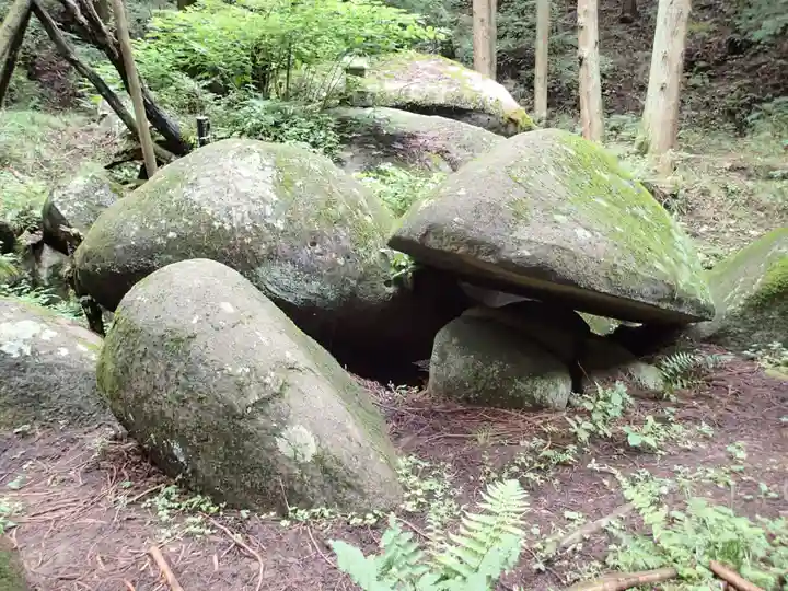 名草厳島神社の自然