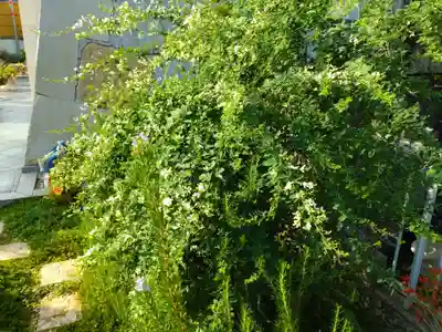 寿量山 速成寺(奈良県)