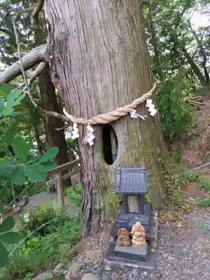 阿久津「田村神社」（郡山市阿久津町）旧社名：伊豆箱根三嶋三社(福島県)