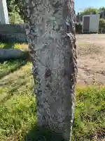 十一面観音のその他建物