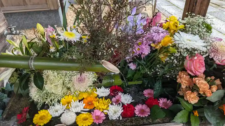 勝林寺(京都府)