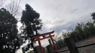 吉田神社(京都府)