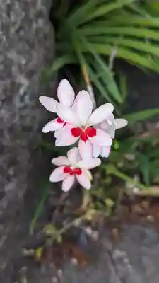 玉田神社(京都府)