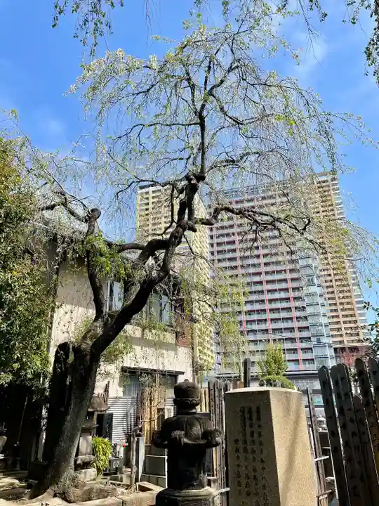 本行寺(東京都)
