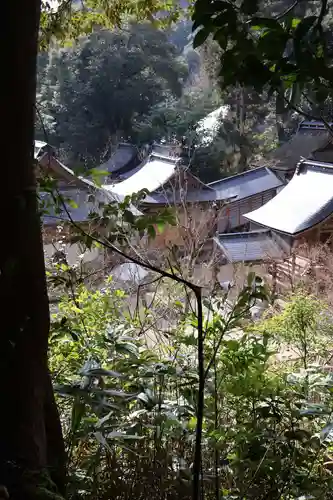 山王宮日吉神社(京都府)
