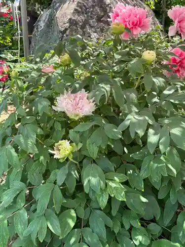 薬師院(兵庫県)