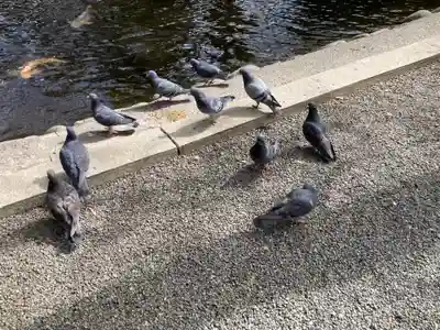 平塚八幡宮(神奈川県)