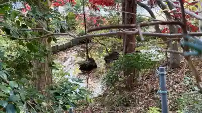 函館八幡宮(北海道)