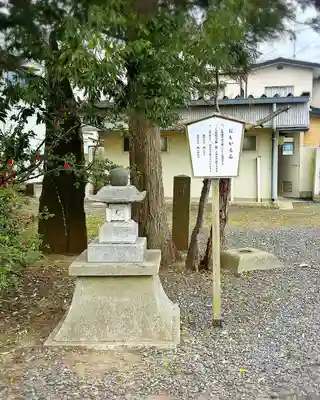津島神社(宮城県)
