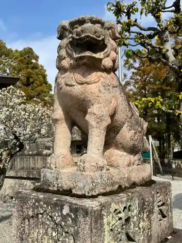 菅生神社の狛犬