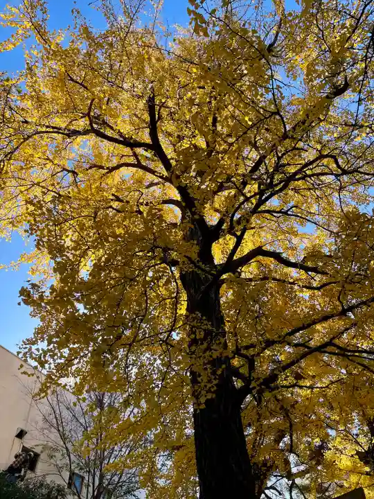 長崎神社(東京都)