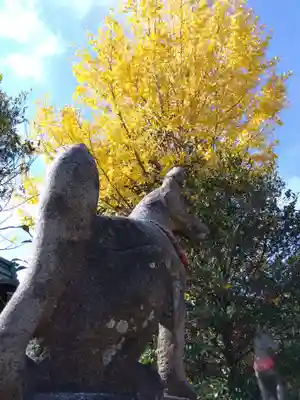木田神社(福井県)
