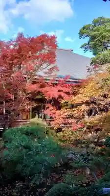 禅林寺(永観堂)(京都府)