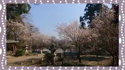 千代ケ岡八幡宮(栃木県)