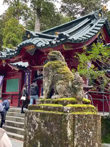 箱根神社の狛犬